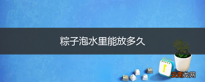 粽子泡水里能放多久