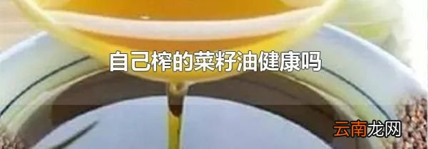 自己榨的菜籽油健康吗