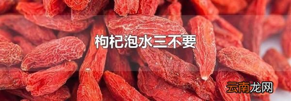 枸杞泡水三不要