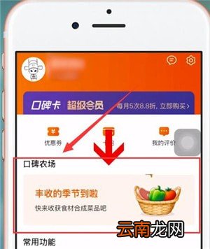 口碑app中养牛具体操作流程
