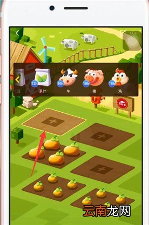 口碑app中养牛具体操作流程