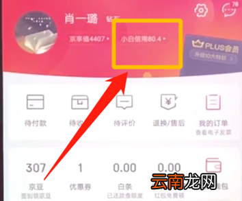 京东中提升小白信用具体操作步骤