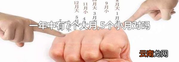一年中有7个大月,5个小月对吗
