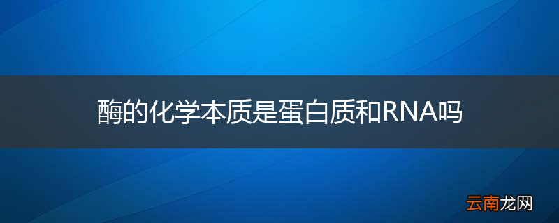 酶的化学本质是蛋白质和RNA吗
