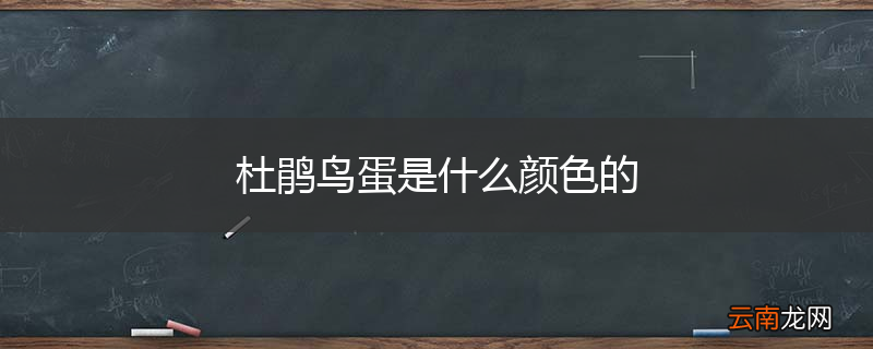 杜鹃鸟蛋是什么颜色的