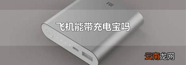 飞机能带充电宝吗