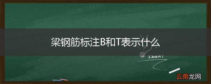 梁钢筋标注B和T表示什么