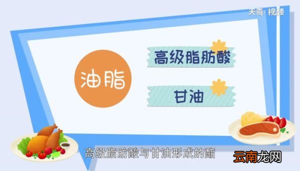 油脂水解生成什么 油脂水解生成啥