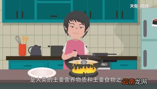 油脂水解生成什么 油脂水解生成啥