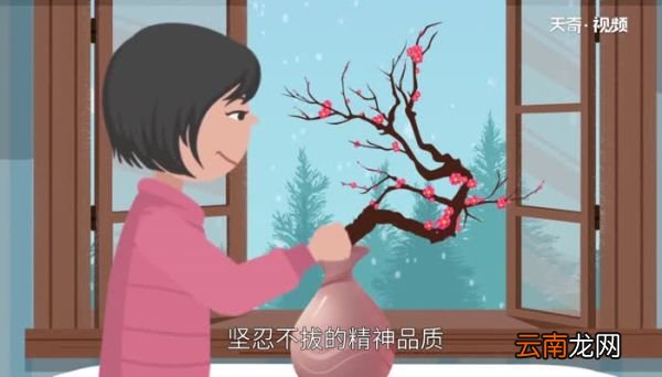 梅花的象征意义 梅花象征着什么