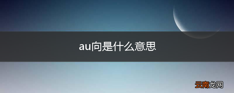 au向是什么意思