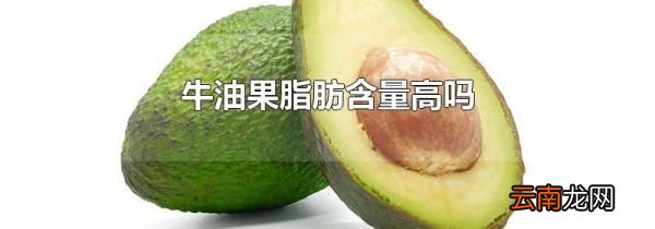 牛油果脂肪含量高吗