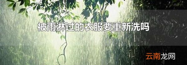 被雨淋过的衣服要重新洗吗