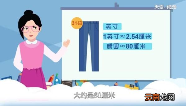 裤子31码是多少尺 裤子31码是多大腰围