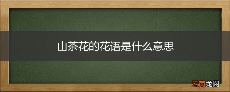 山茶花的花语是什么意思