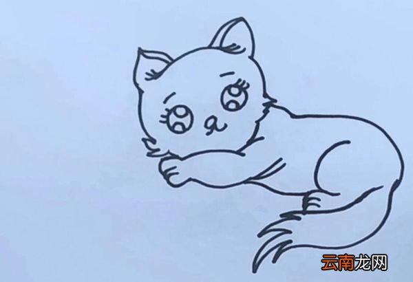 猫咪简笔画猫咪的简笔画