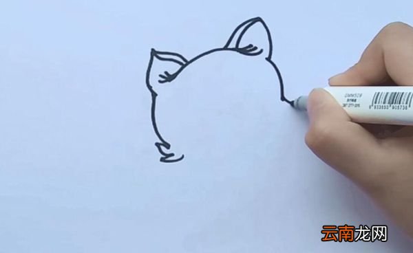 猫咪简笔画猫咪的简笔画