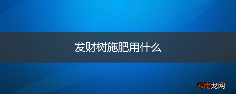 发财树施肥用什么