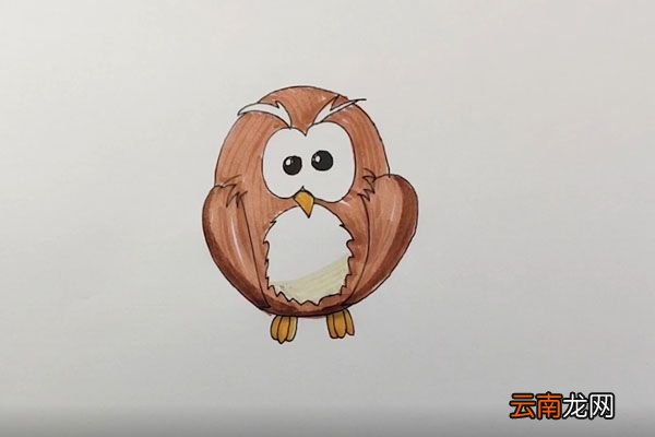 猫头鹰简笔画