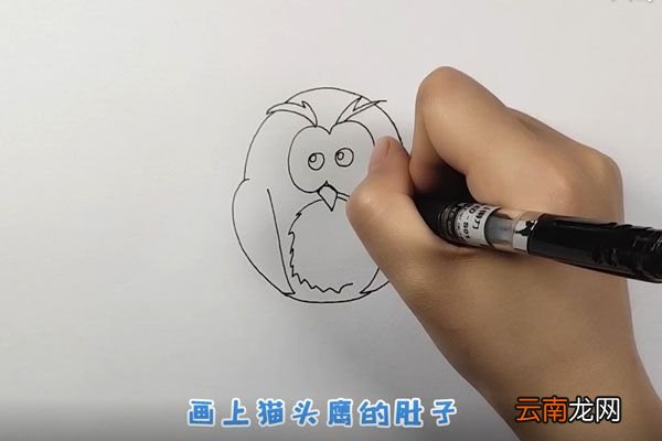 猫头鹰简笔画