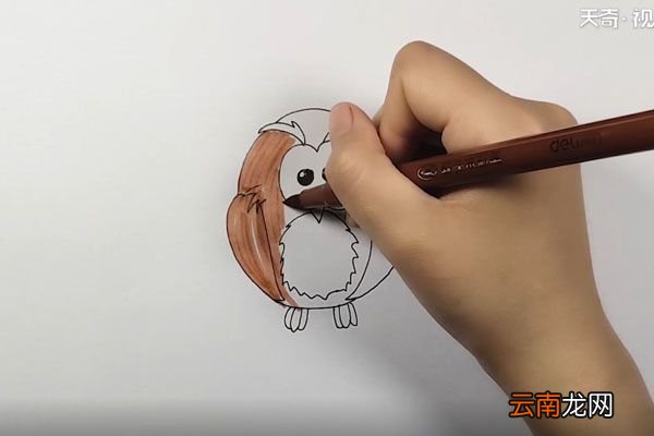 猫头鹰简笔画