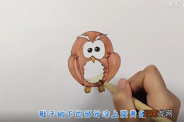 猫头鹰简笔画