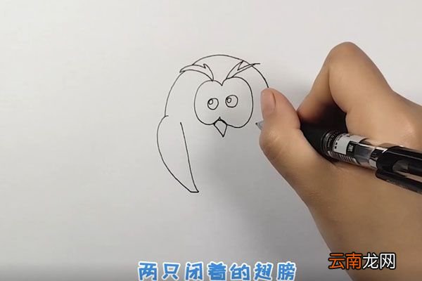 猫头鹰简笔画