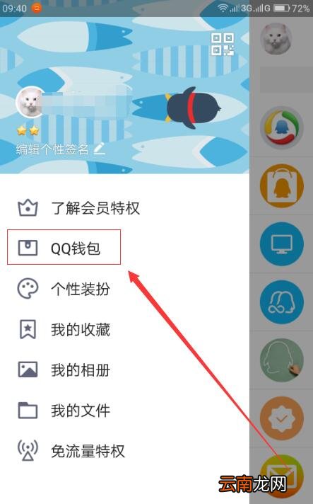 手机QQ中找到钱包积分位置具体操作步骤