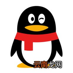 手机QQ中找到钱包积分位置具体操作步骤