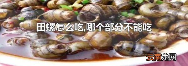 田螺怎么吃,哪个部分不能吃