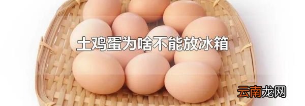 土鸡蛋为啥不能放冰箱