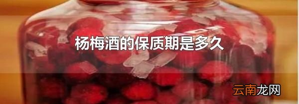 杨梅酒的保质期是多久