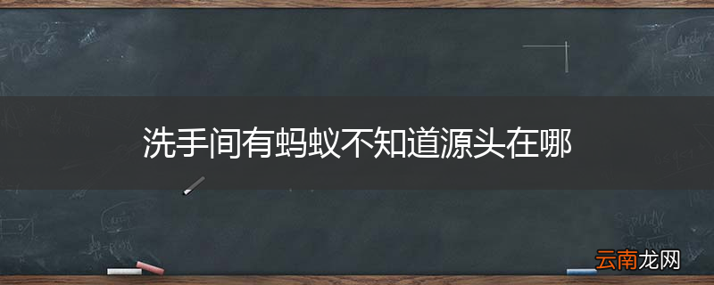 洗手间有蚂蚁不知道源头在哪