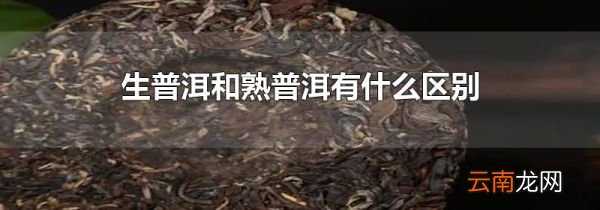 生普洱和熟普洱有什么区别
