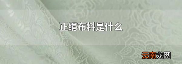正绢布料是什么