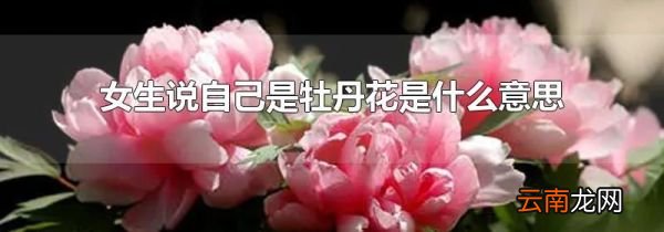 女生说自己是牡丹花是什么意思