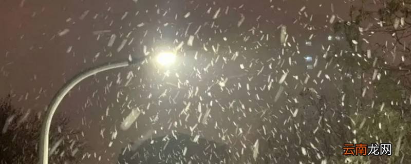 雨夹雪是不是看不到雪