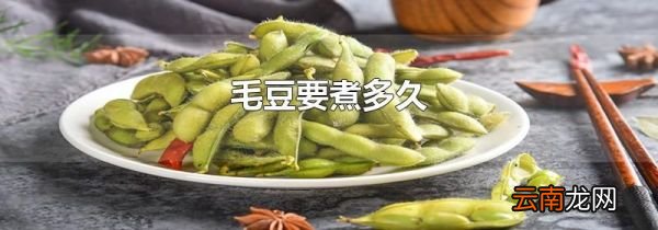 毛豆要煮多久