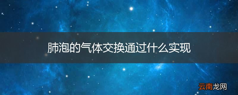 肺泡的气体交换通过什么实现
