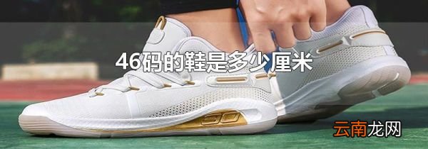 46码的鞋是多少厘米