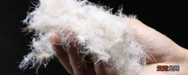 90白鸭绒可以水洗吗