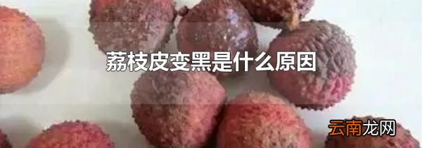 荔枝皮变黑是什么原因