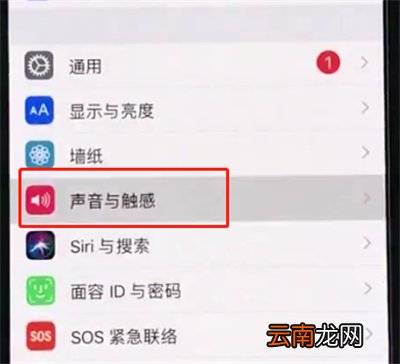 iphonexr中设置电话铃声的操作方法
