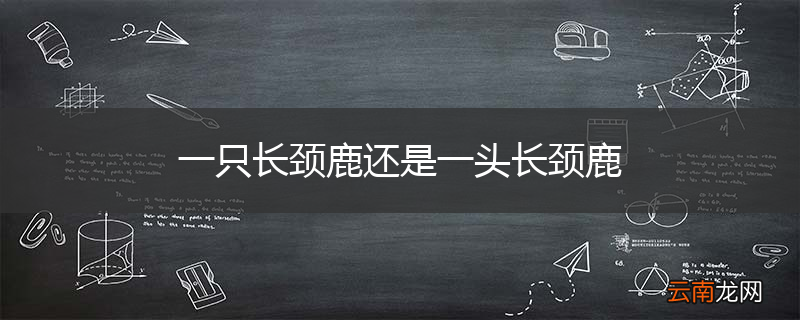 一只长颈鹿还是一头长颈鹿
