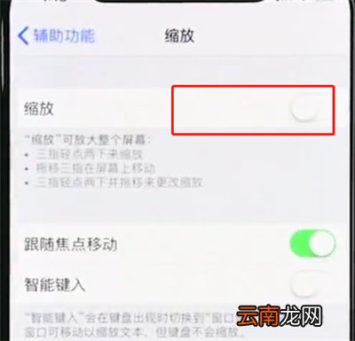 iphonexr中使用缩放的基本操作
