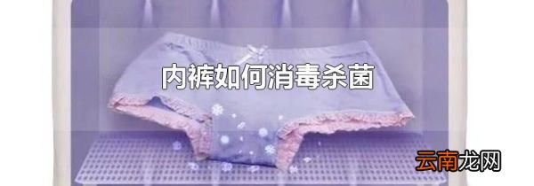 内裤如何消毒杀菌