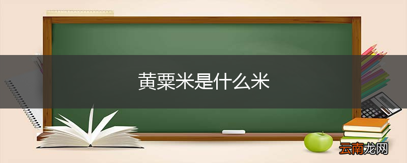 黄粟米是什么米