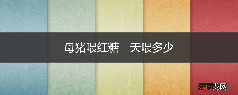 母猪喂红糖一天喂多少