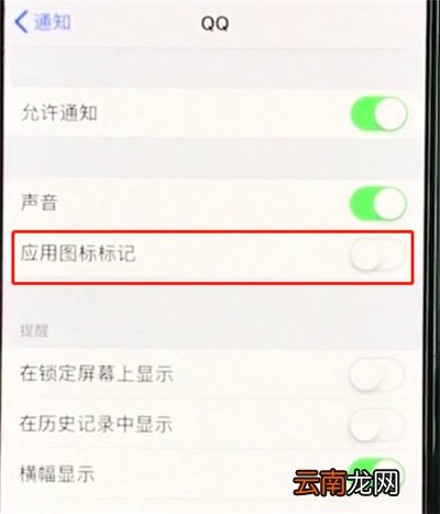 iphonexs中关闭APP小红点的操作教程