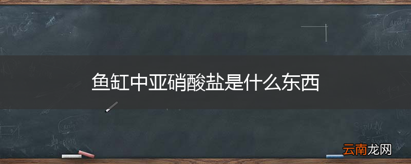 鱼缸中亚硝酸盐是什么东西